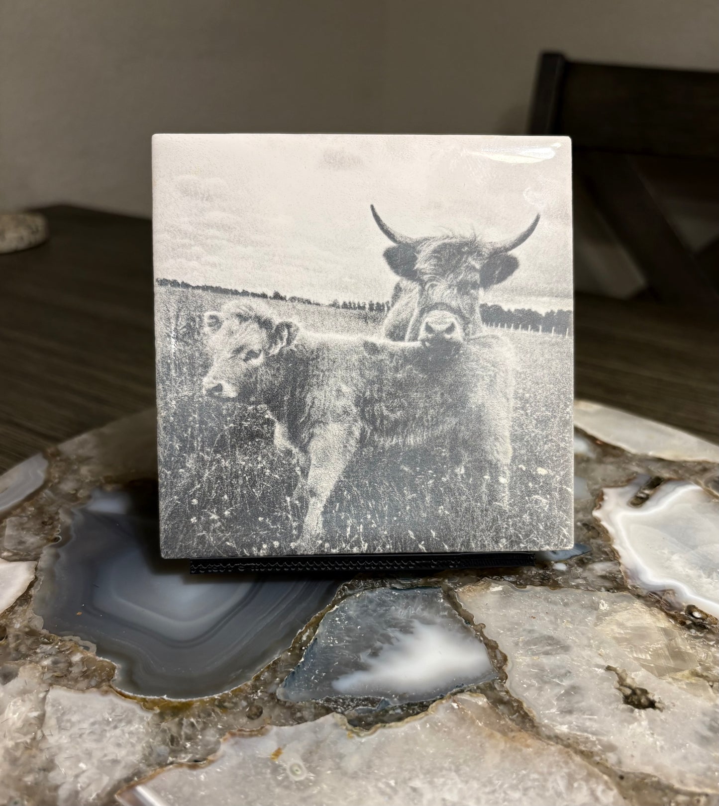 Laser engraved plaques