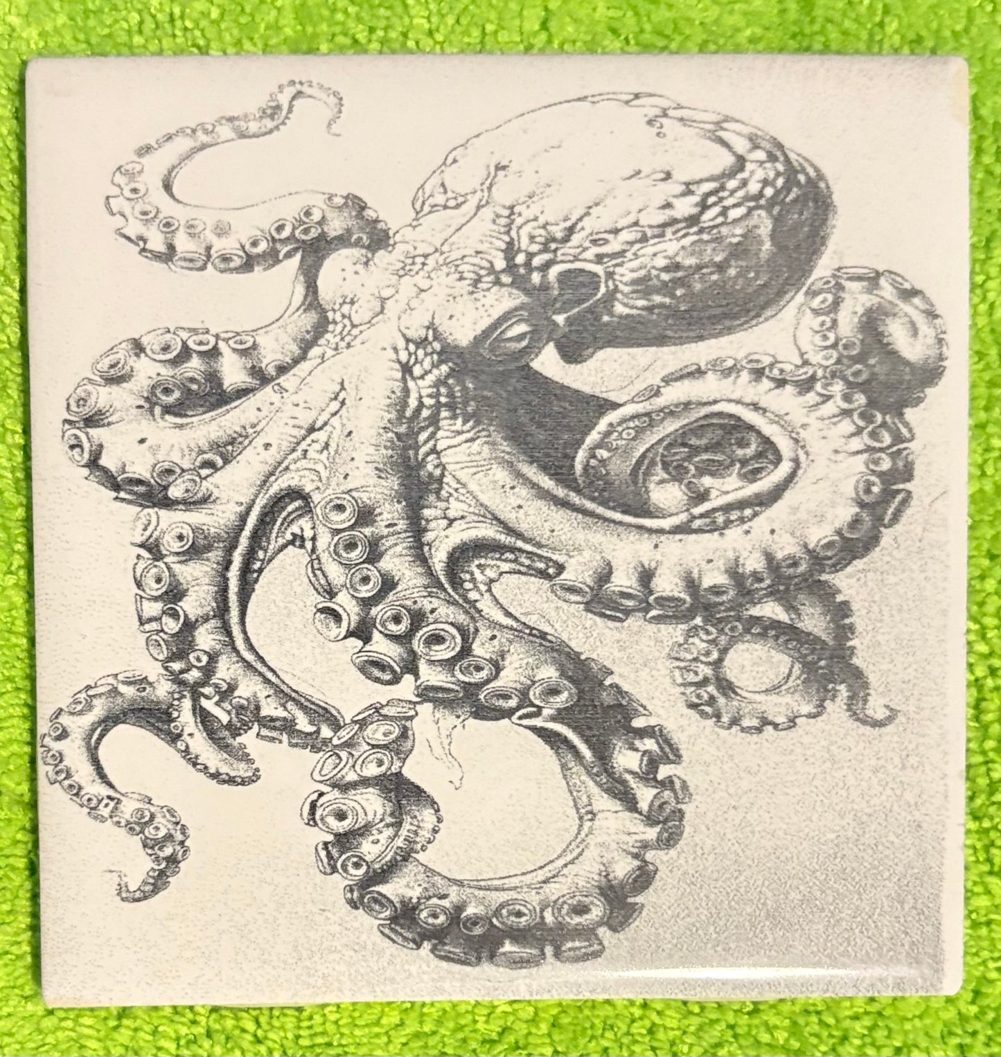 Laser engraved tile octopus
