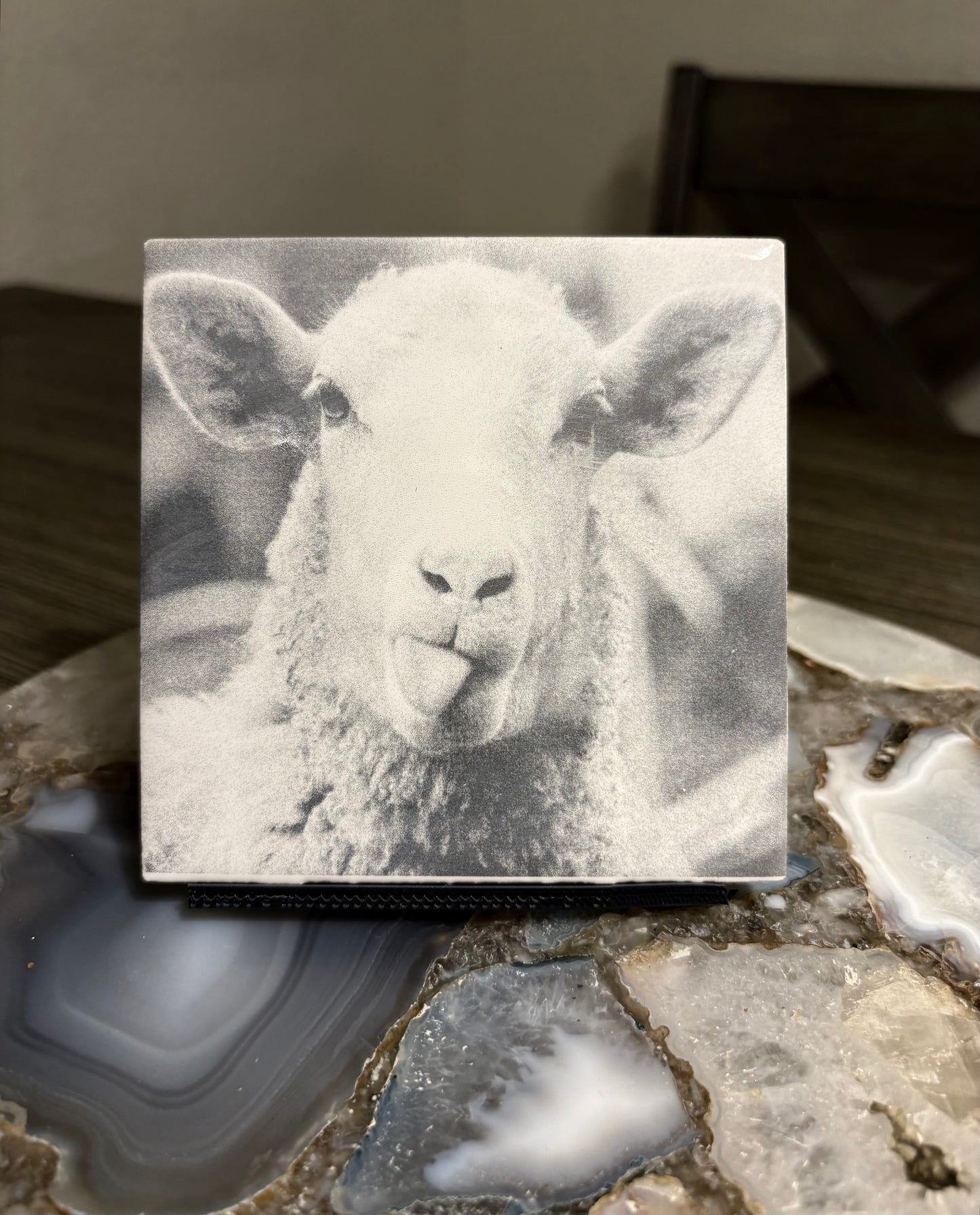 Laser engraved plaques